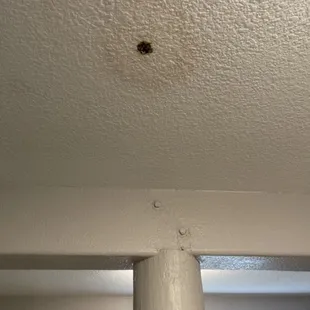 Black Mold ceiling