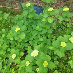 soups and chowder, interior