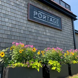 Flowers in full bloom as summer roles in at the portage