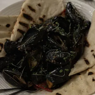 Mussels