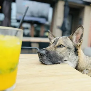 Mango Nohito - not in the drink menu