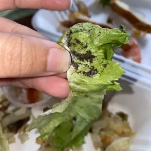 I feel discussed. Dirt . Clean the lettuce properly if you guys are so busy, hire more people