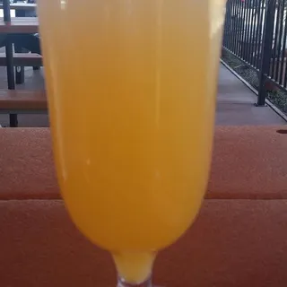 Mega Mimosa