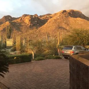 The view from the kitchen window.