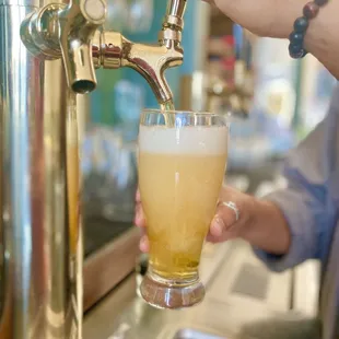 Draft beers: Maui waui - Altamont IPA, seasonal Hazy IPA, Seasonal Lager, Seasonal Pilsner