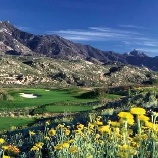 Hit over the small canyon to the par 3 number six at Preserve Golf Club