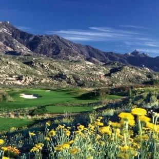 Best views and course