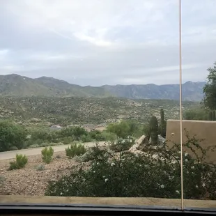 That view!