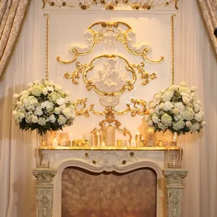 Elegant Fireplace.  Perfect for Photos