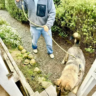 Doggy entrance (gravel trail)