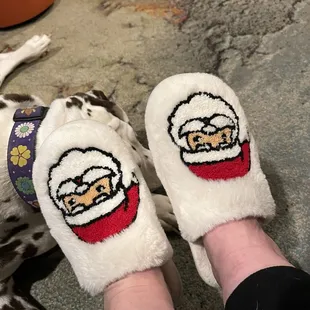 My Santa slippers ... can I wear these to work too?
