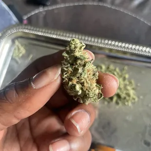 Good sized nugs, look a little thin but breaks down fluffy.