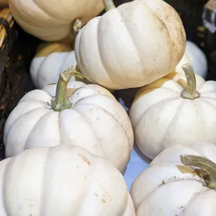 White pumpkins