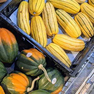 Squashes!