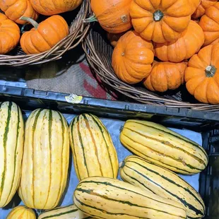 Squashes &amp; pumpkins