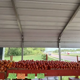 a variety of fruits and vegetables
