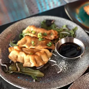 HH Deep Fried Chicken Potstickers