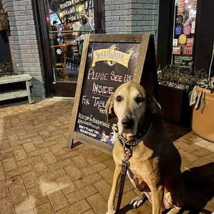 She loves this place