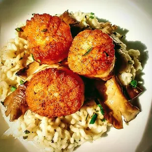 three scallops and rice on a white plate