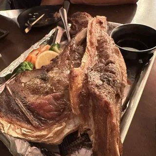 Giant Bluefin Tuna Kama