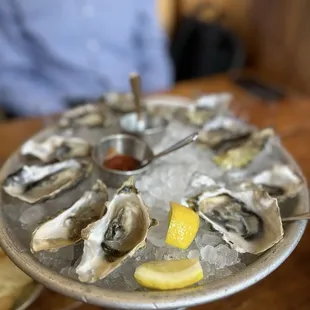 Oysters