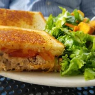 Tuna melt with a side salad upgrade (comes w/fries)