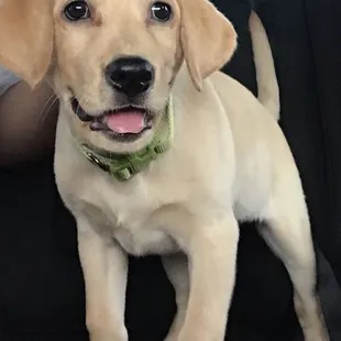 So happy we found this place