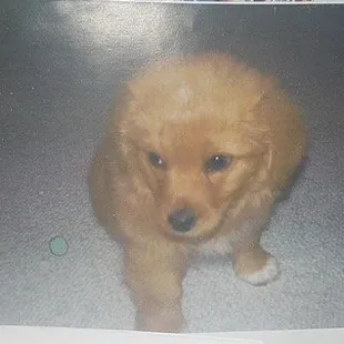 This was Gracie at 15 weeks.