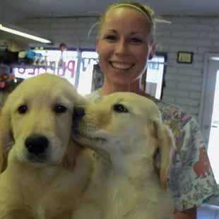 Golden Retrievers &amp; Cindi