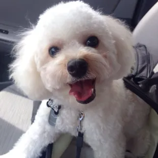 Oliver is always super happy after a day at camp!