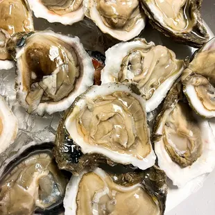 Raw oysters