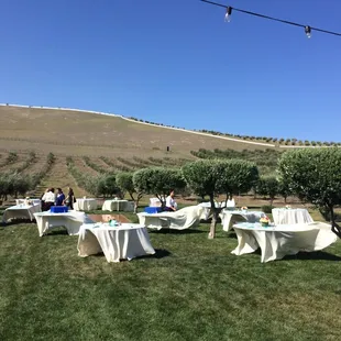 Outdoor banquet area