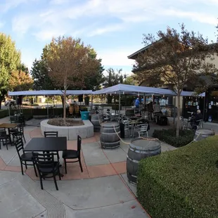 At the Dreaming Dog Brewery