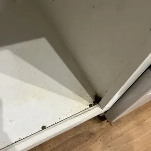 dog food in the cabinet