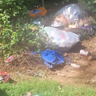 They  need to thoroughly walk the property. Tenants throw trash any and everywhere!