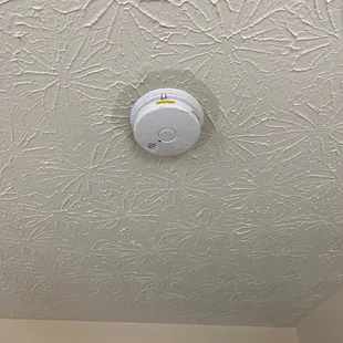 Water coming in from the ceiling around the smoke detector. It&apos;s currently leaking on the floor