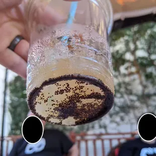 This is how many grounds they dumped into my iced coffee-- served August 2022.