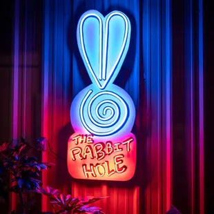 The Rabbit Hole