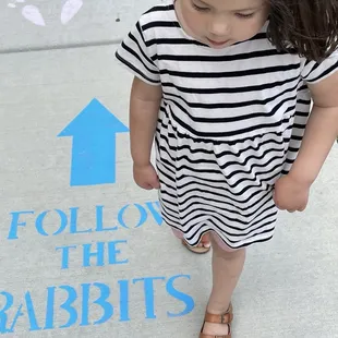 Follow the rabbits