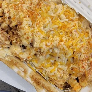 The loaded fries