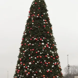 If you haven't been to "The Rail" in Fairlawn yet, YOU NEED TO GO!