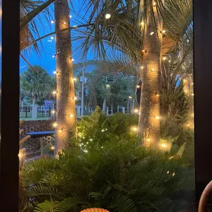 View outside