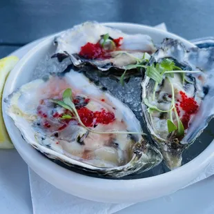 Oysters on the half shell