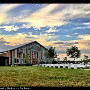 Driftwood...a view from the back