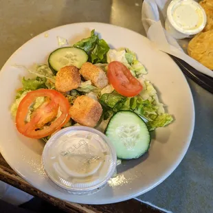 Side Salad with meal and Bleu cheese dressing