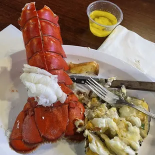 a lobster and macaroni dish