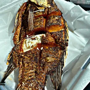 Fried fish