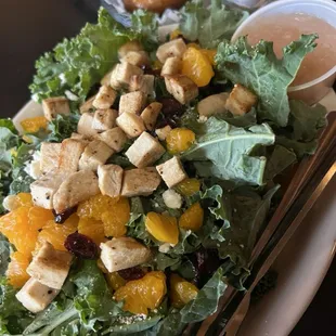 Kale and warm grilled chicken salad, SO good.