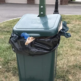 DOG POOH Bins ARE ALWAYS OVERFLOWED and open Pooh bags on ground. Horrible smell near our units.  Management doesn&apos;t care to fix.