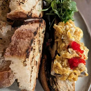 Bone marrow
